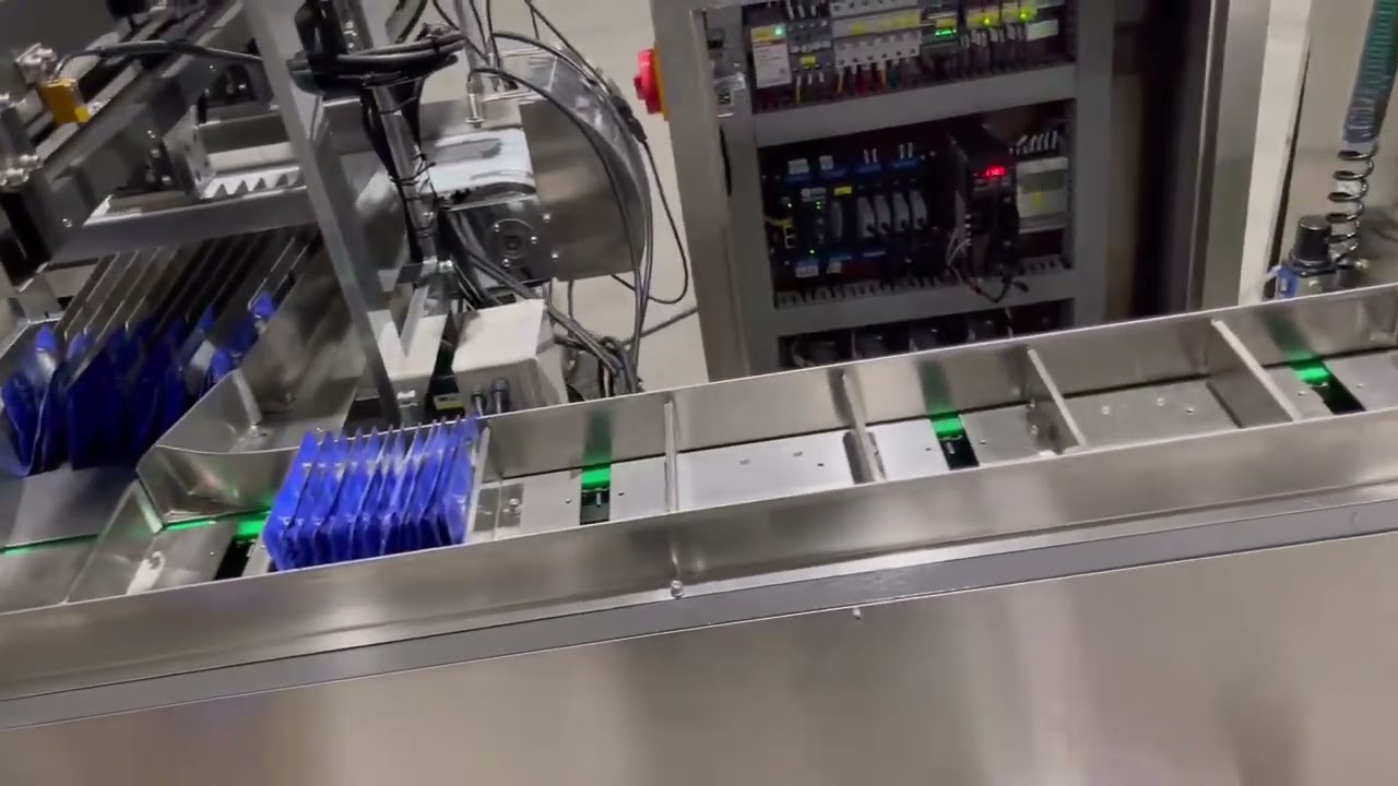 Automatic sachet or pouches counting and feeding device with cartoning machine