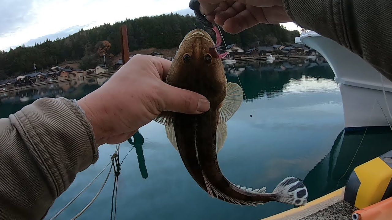今日はエソばっかりでボウズかと思ってたけど、最後にマゴチが釣れて良かった。