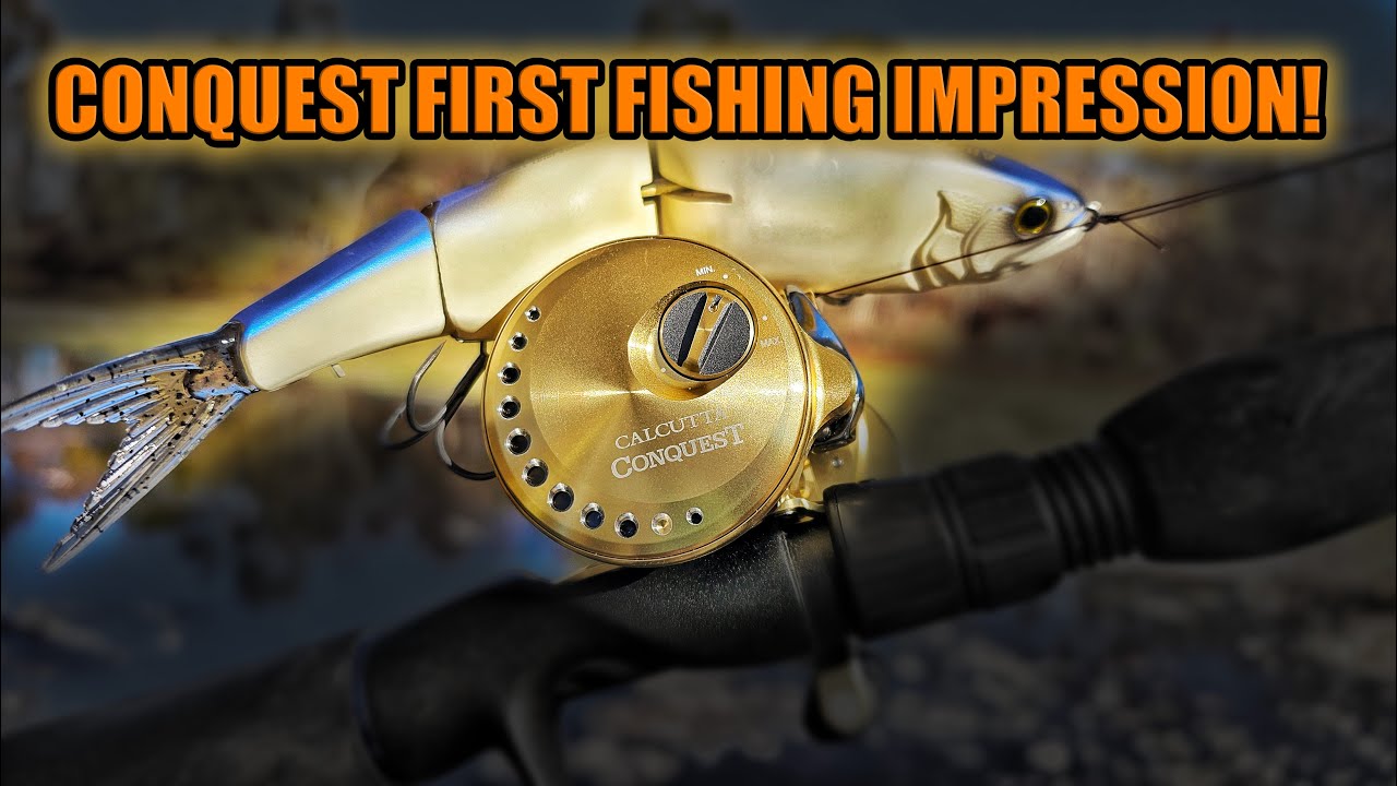 Рыболовные приманки Glidebaits с мультипликаторной катушкой Shimano Calcutta Conquest 201