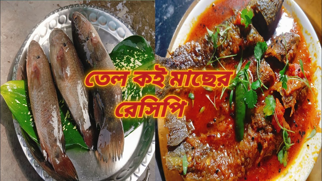 তেল কই রেসিপি এইভাবে বানিয়ে নিন স্বাদ হবে দুর্দান্ত | Tel koi recipe || Bengali fish curry recipe |