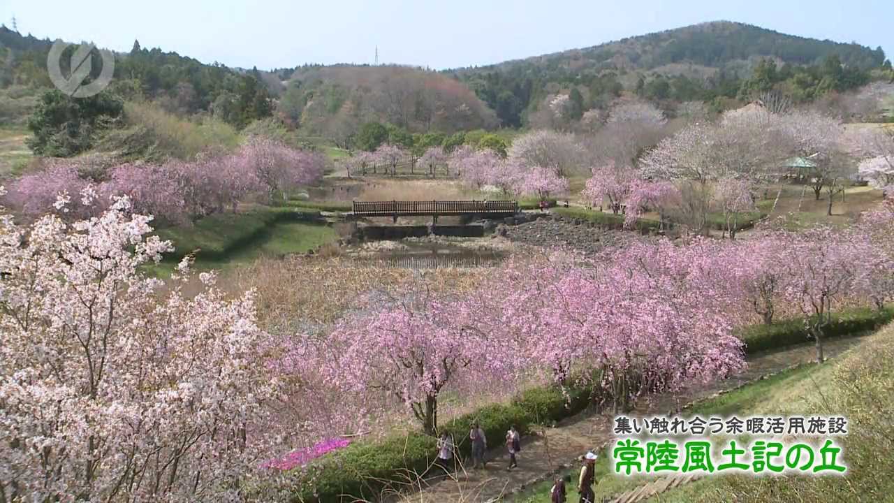 【茨城県石岡市公式】 常陸風土記の丘