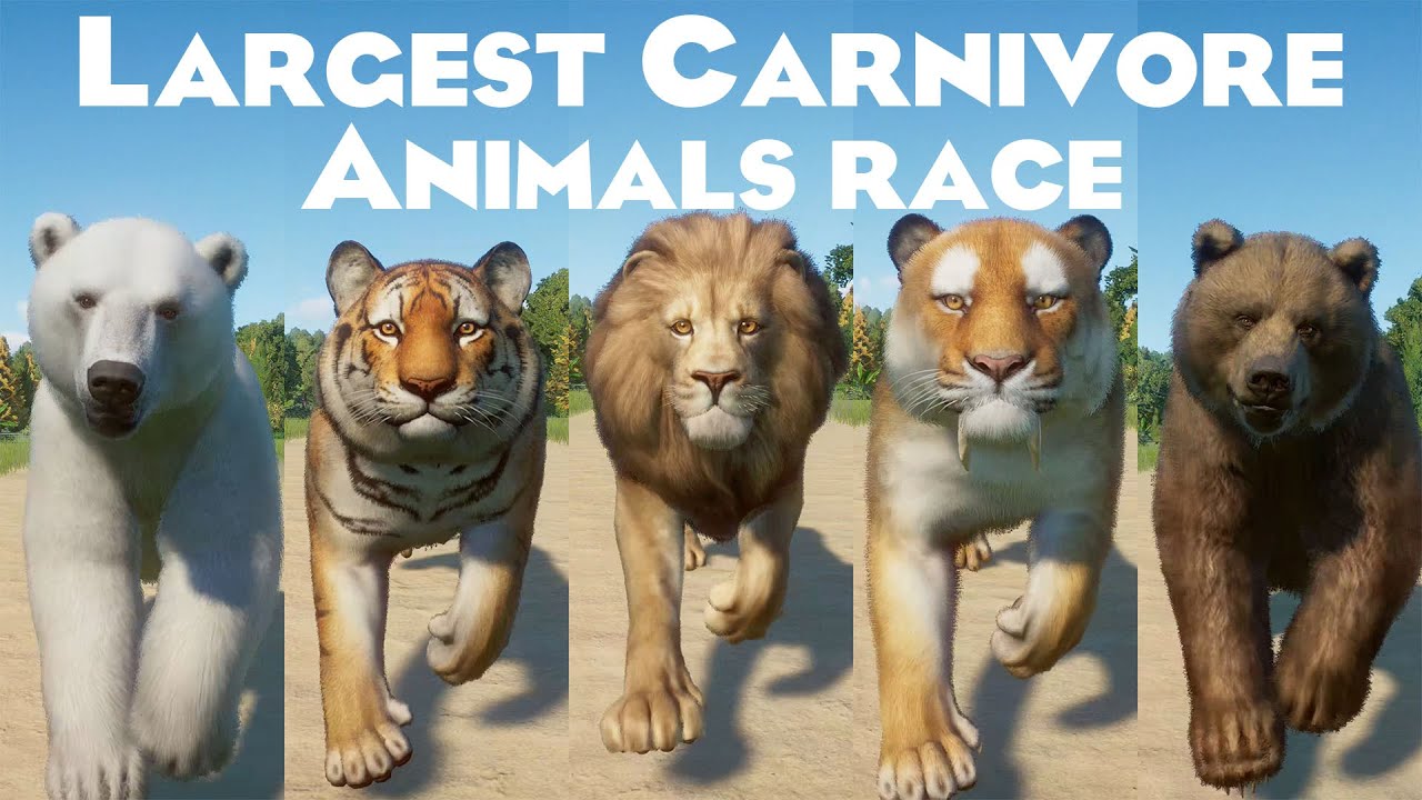 Largest Carnivore on Earth Animals Speed Races in Planet Zoo includes Bengal Tiger, Polar Bear etc