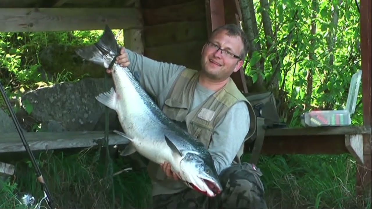 Lachsfishing Norwegen am Namsen