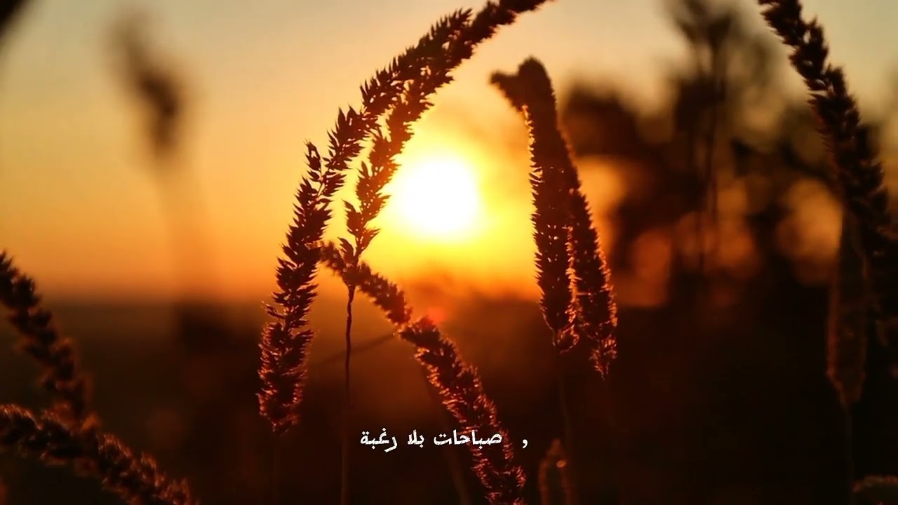 لماذا أصبح الالتزام شيئًا نادرًا في مجتمعنا اليوم؟