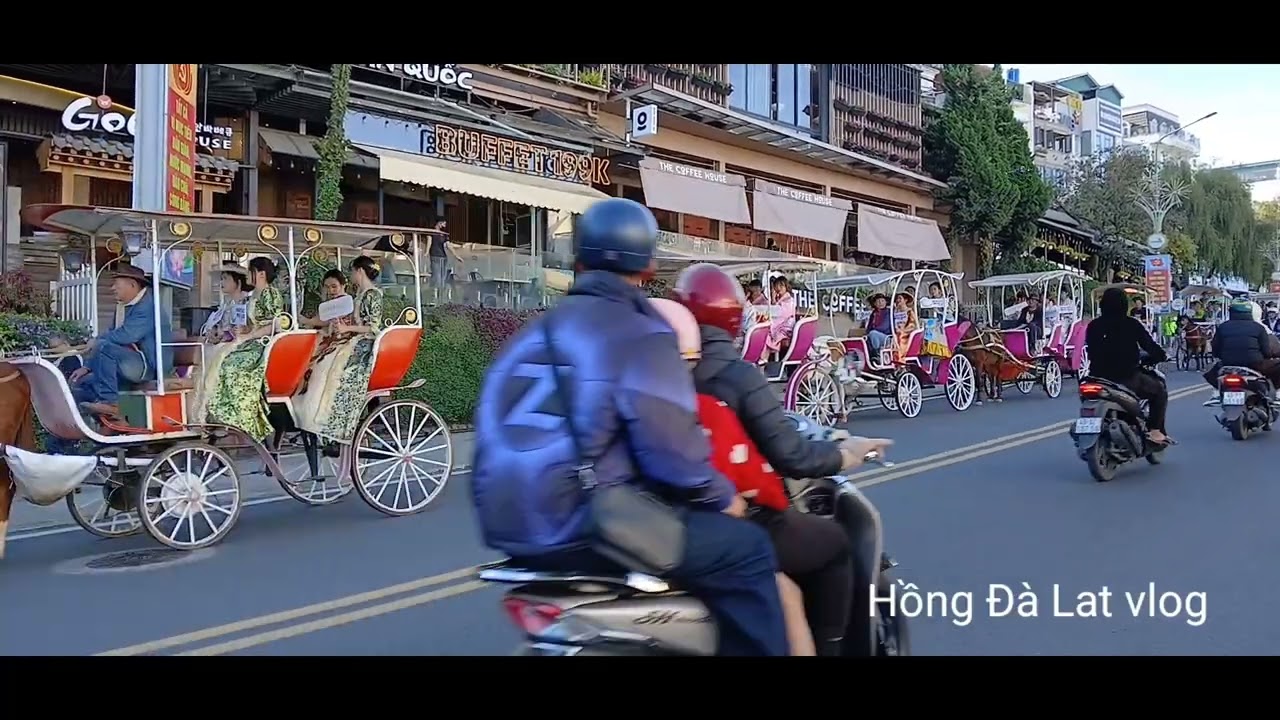 Khoảnh khắc đẹp ở Đà Lạt cuối năm 2025 : xe cổ và xe ngựa ở dốc Hòa Bình