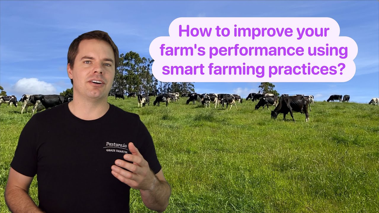 Tactical Grazing Management to Improve Your Farm's Efficiency, Pasture and Animal Performance