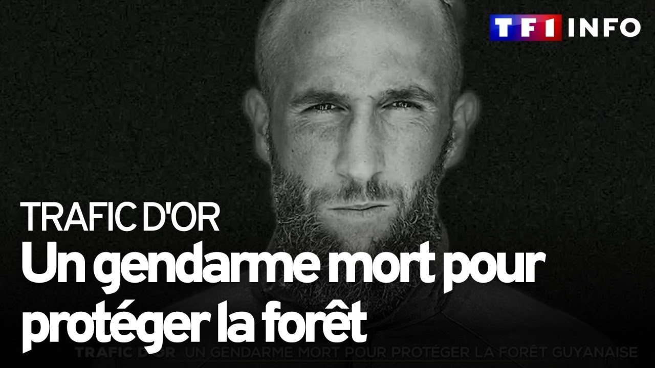 Guyane : mort d'un gendarme, nouvelle victime de la guerre contre l'orpaillage clandestin