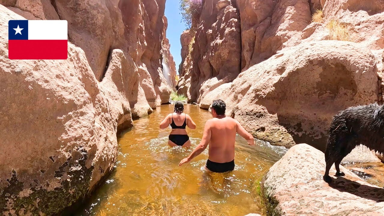 OASIS NO MEIO DO DESERTO DO ATACAMA 