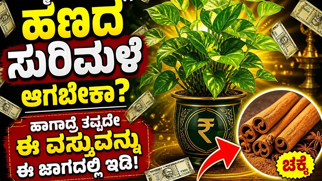 ಈ ಒಂದು ಜಾಗದಲ್ಲಿ ಈ ವಸ್ತು ಇಟ್ಟು ನೋಡಿ| ಹಣ ಎಣಿಸಿ ಎಣಿಸಿ ಸುಸ್ತಾಗ್ತೀರಾ|
