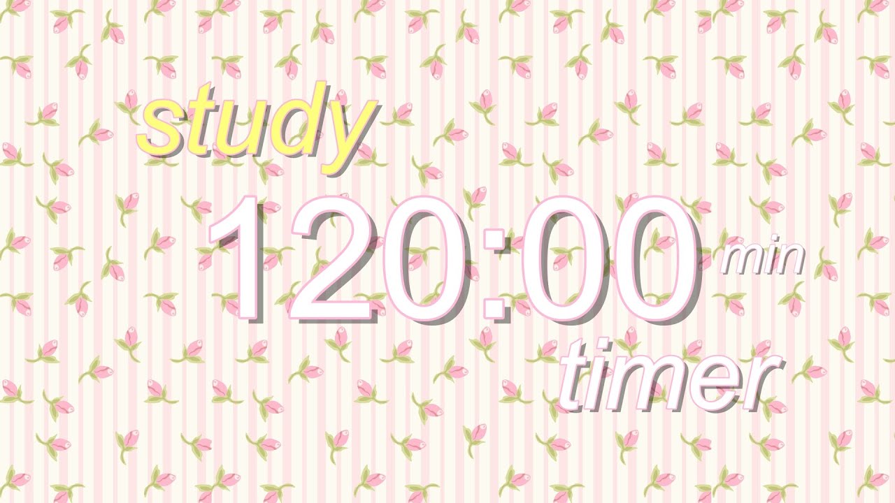 120 minute study timer ♡ | studying &middot; lofimusic &middot; motivation &middot; concentration &middot; relaxing &middot; aesthetic