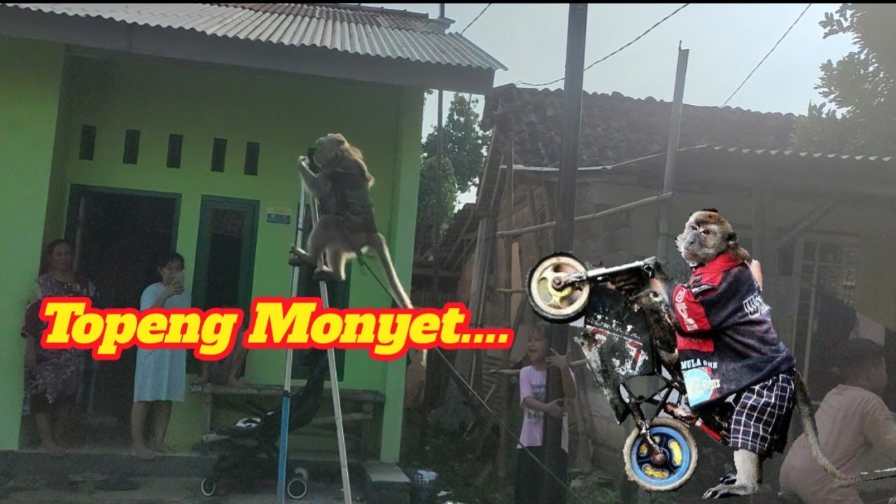 Topeng Monyet