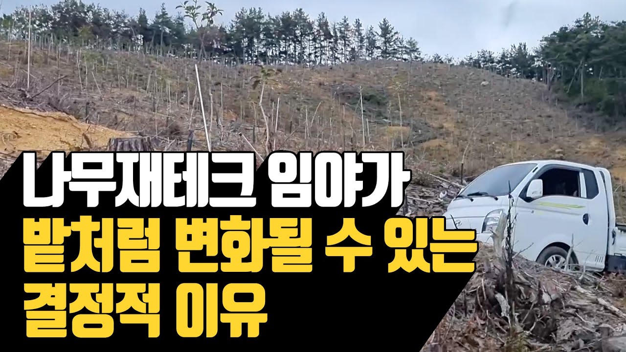 나무재테크 임야가 밭처럼 변화될 수 있는 결정적 이유 | 나무대장🌳 나무농사의 모든것