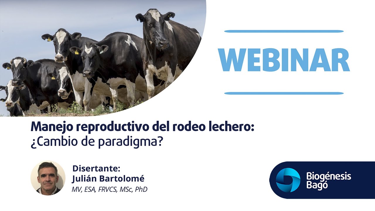 Manejo reproductivo del rodeo lechero ¿Cambio de paradigma? | Webinar | Biogénesis Bagó