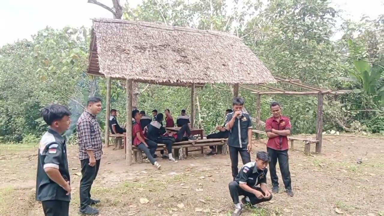 Proses penebangan Pohon besar