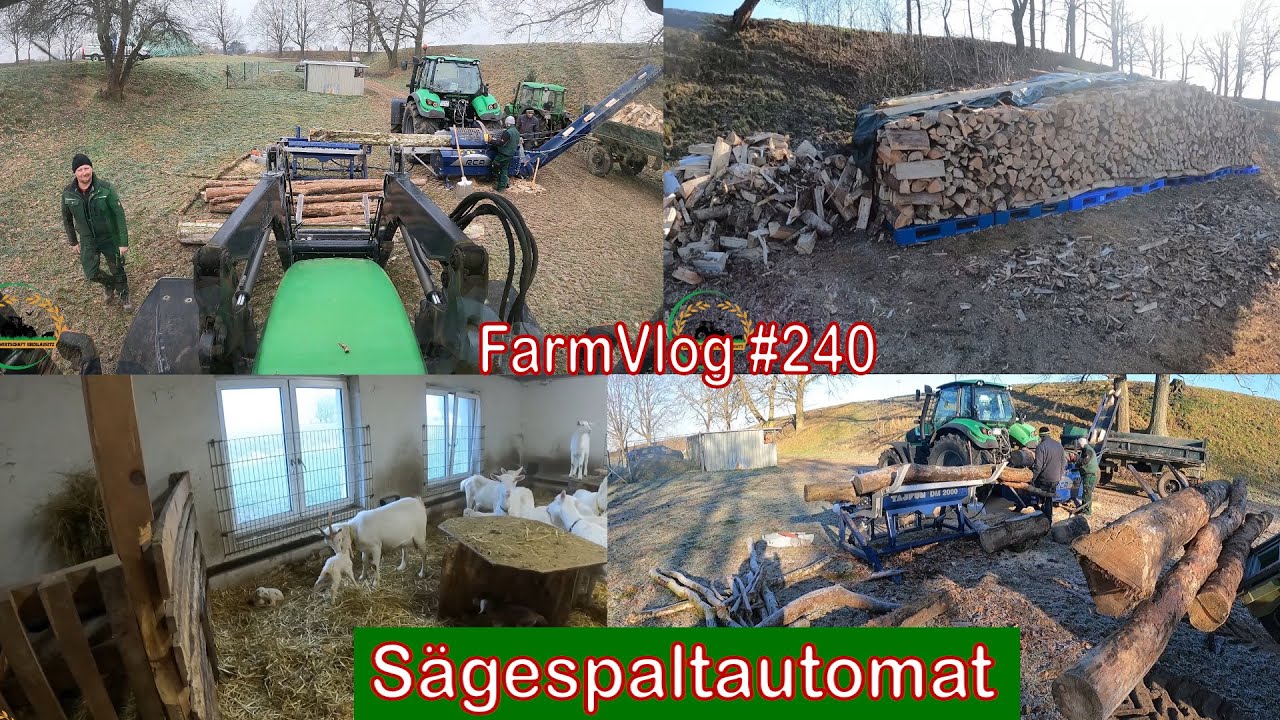 Farmvlog #240: Großaktion Holz mit Sägespaltautomat Tajfun RCA 400 joy | Nachwuchs bei den Ziegen