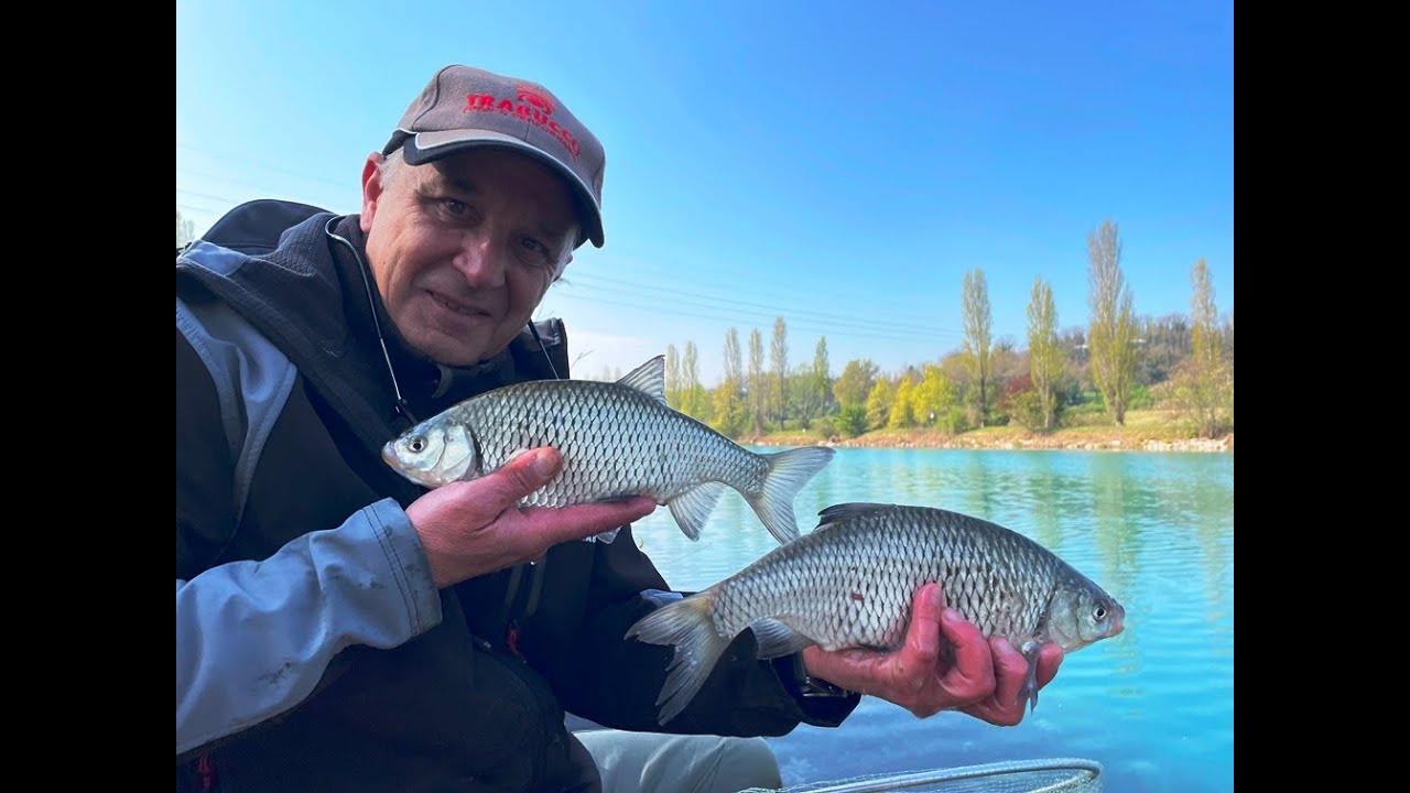 Mincio a Peschiera feeder light scardole a nastro...