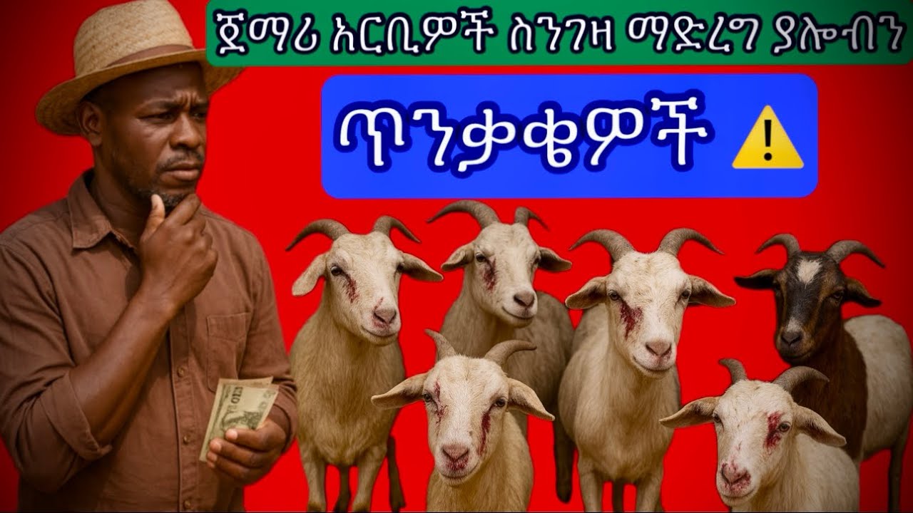 የበግ እና ፍየል ጀማሪ አርቢዎች ማድረግ ያሉብን ጥንቃቄዎች