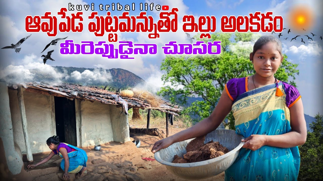 మా గిరిజన ప్రాంతంలో ఇప్పటికి కూడా కొనసాగుతున్న పాత పద్ధతులు@Kuvitriballife 