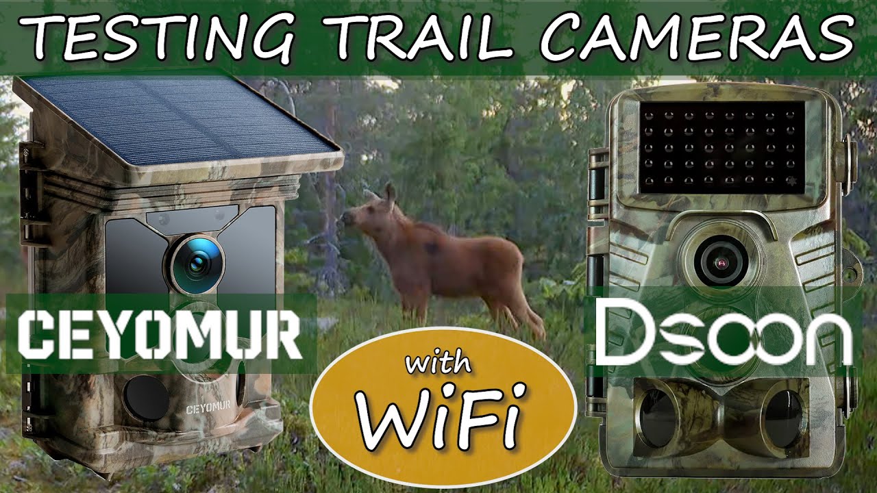 Testing WiFi Trail Cameras | Ceyomur CY95, Ceyomur CY70 & Dsoon H8WIFI-BT