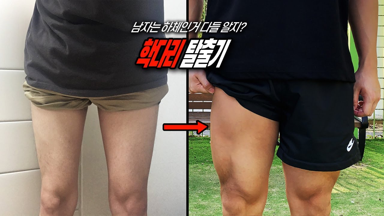 내가 스쿼트로 하체를 키운 원리와 방법