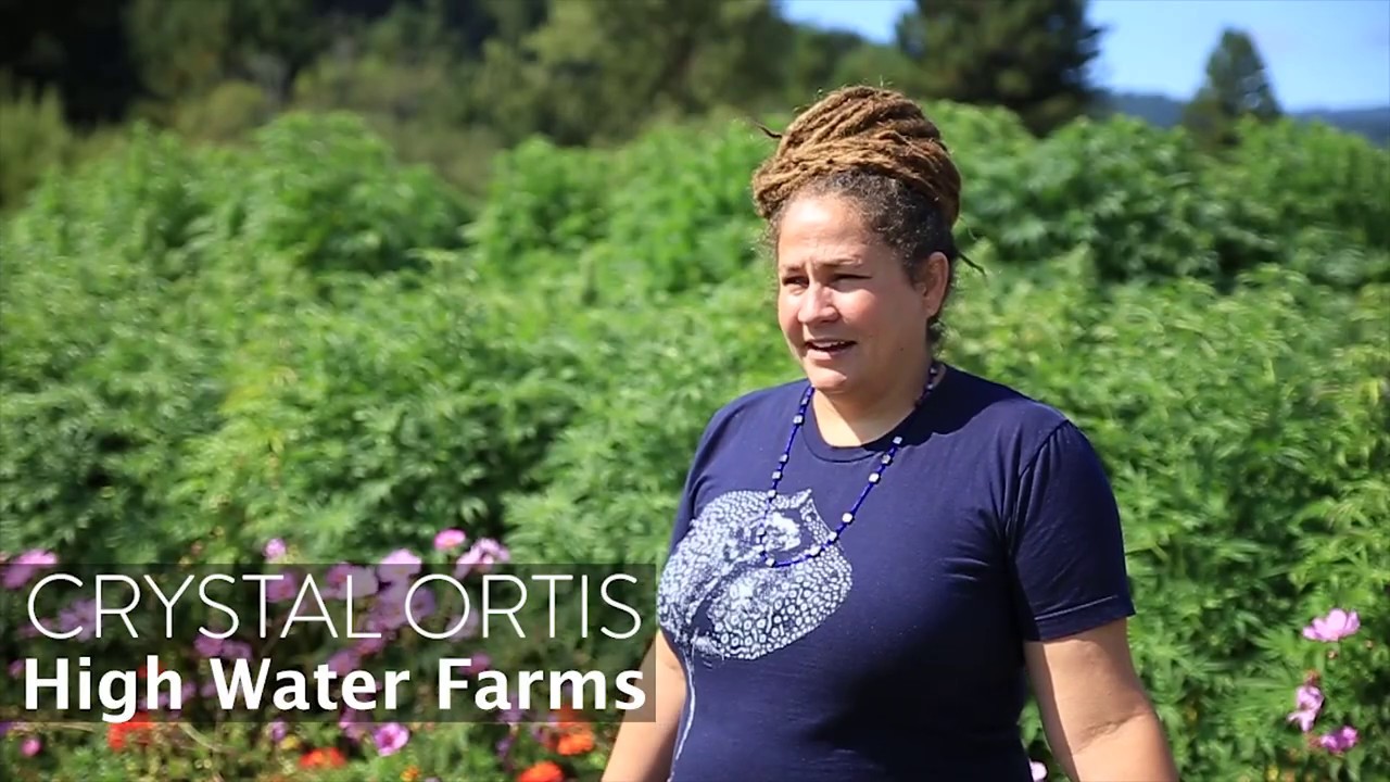 Meet the Farmers | High Water Farms