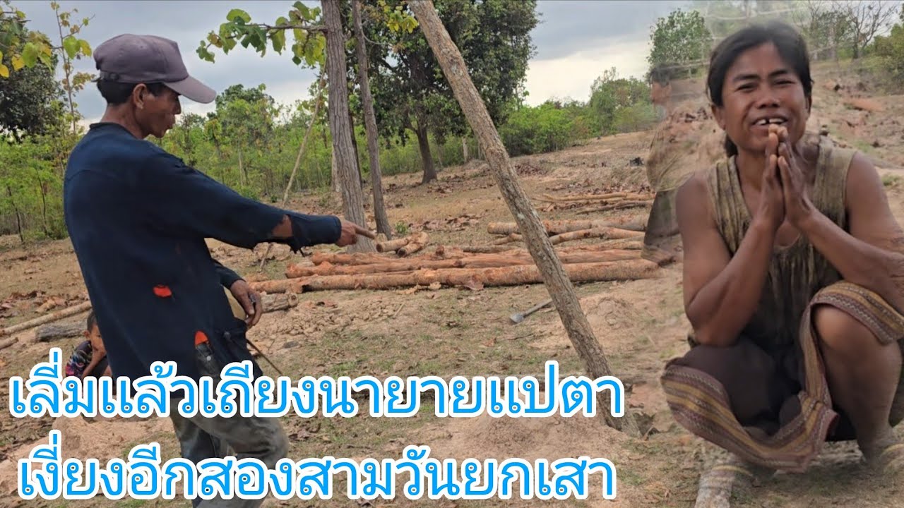 #เถียงนาใหม่ยายเเปตาเงี่ยงเลี่มขื้นเเล้วอิสีเดีนลงมายายเเปเดีนเข้าป่าบอกให้หันหน้าเถียงนาออกถนน