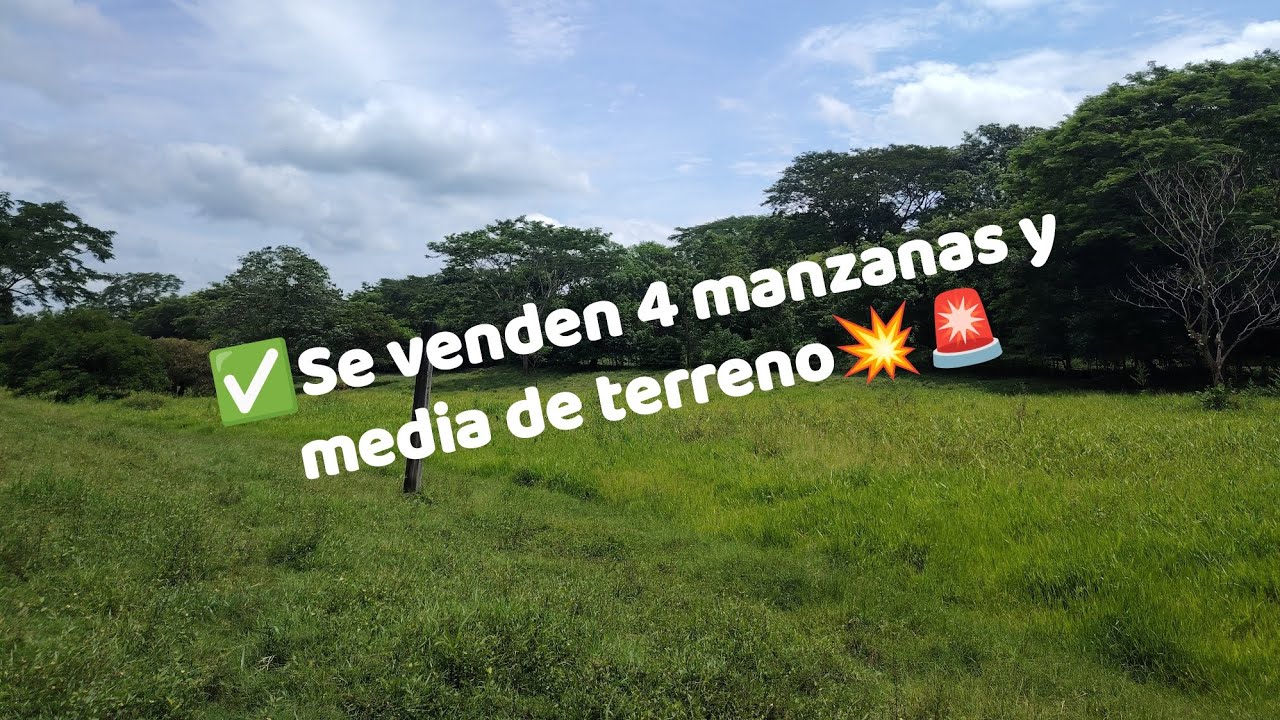 💥Se venden 4 manzanas y media de terreno🚨 cerca de nueva concepción Escuintla💥🇬🇹 