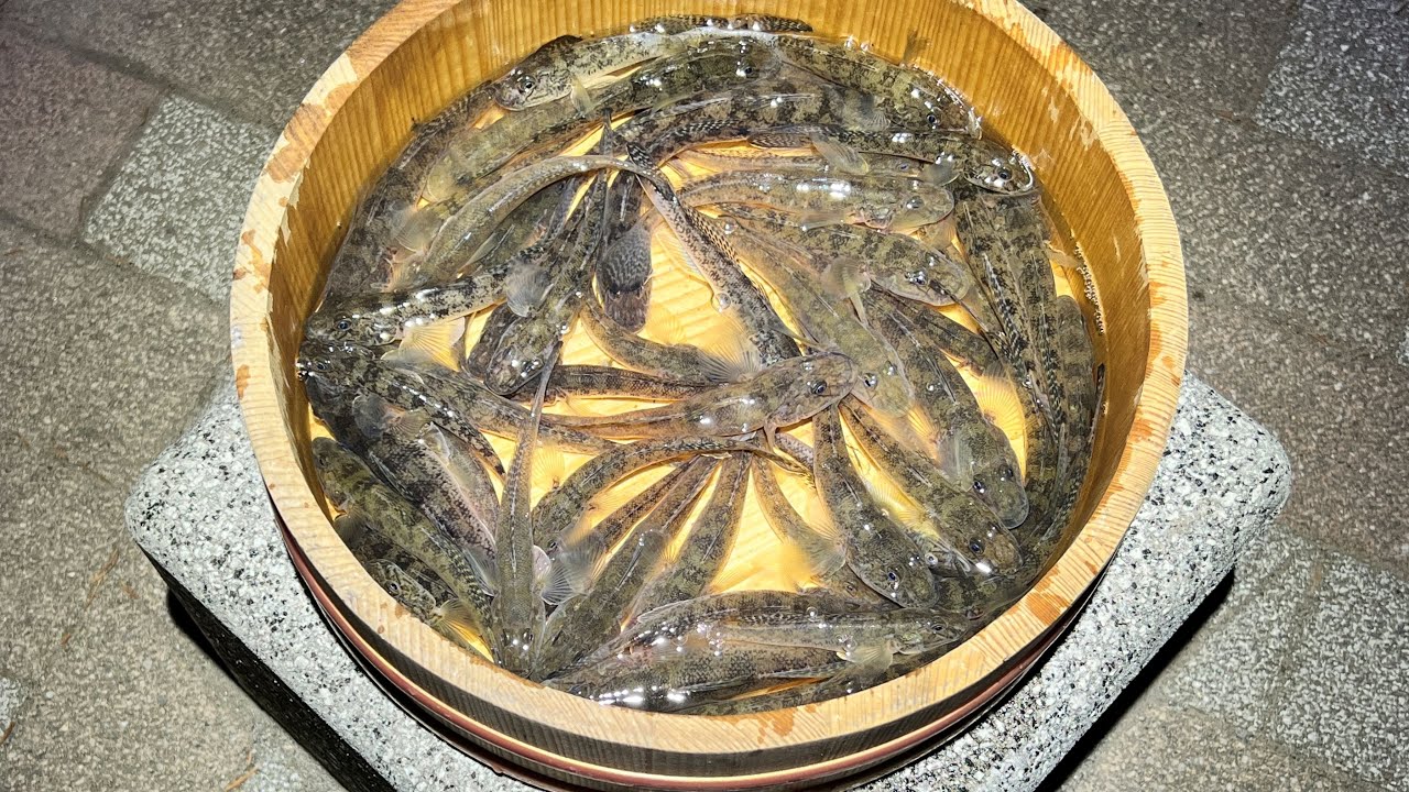 マハゼの居場所が分かれば冬でも釣れちゃう