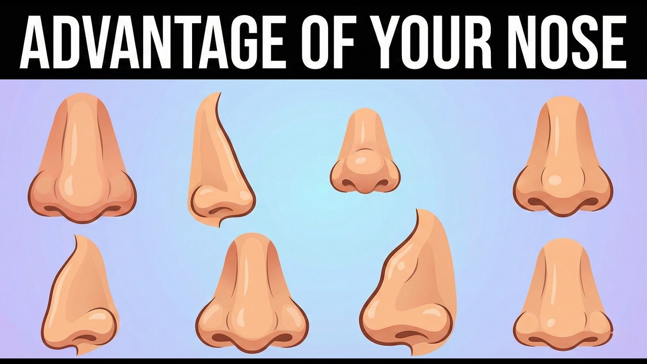 What Your Nose Shape Really Says About You