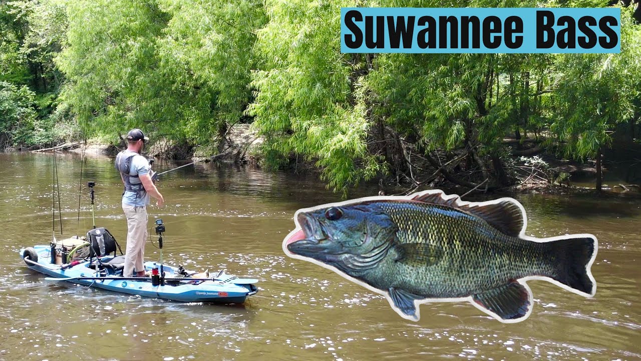 South Georgia Suwannee Bass - Georgia Bass Slam 2023