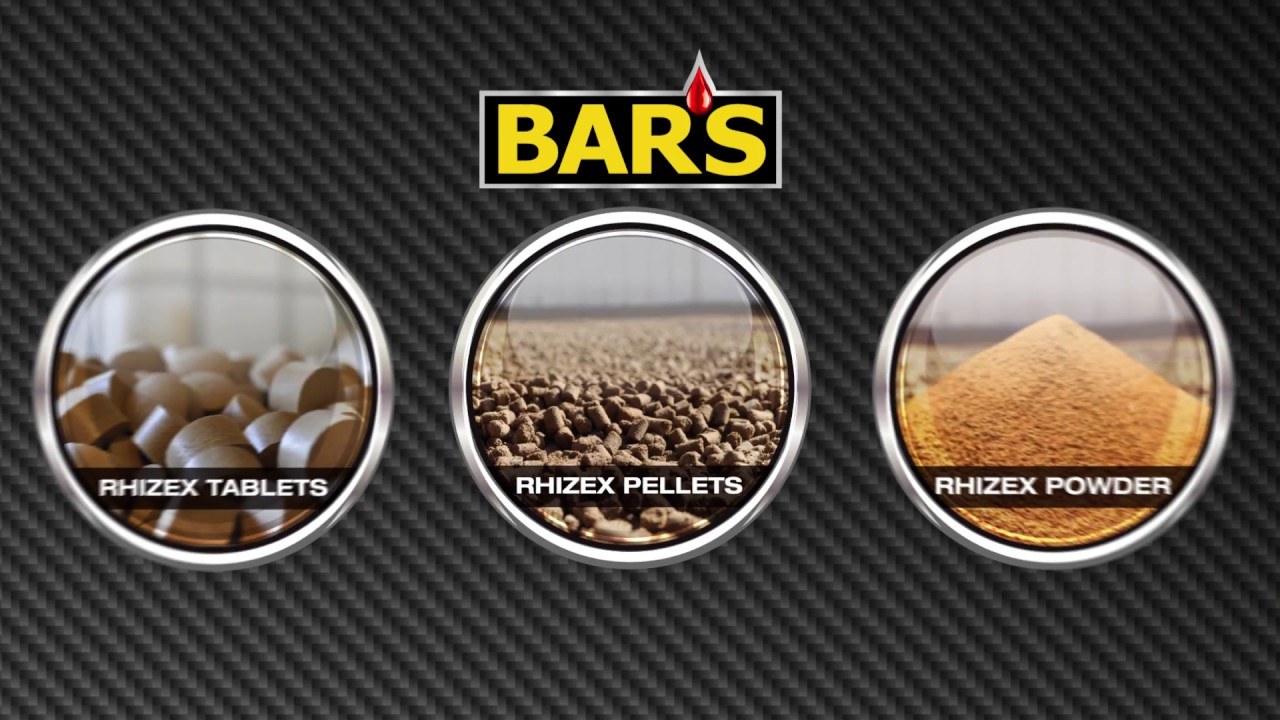 Bar's Leaks Stop Leak Latvian