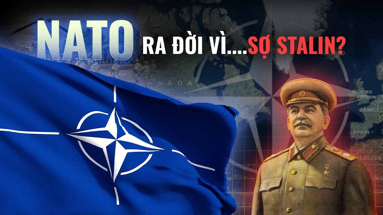 Giải thích toàn bộ về NATO trong 29 phút | Put In | Thế giới
