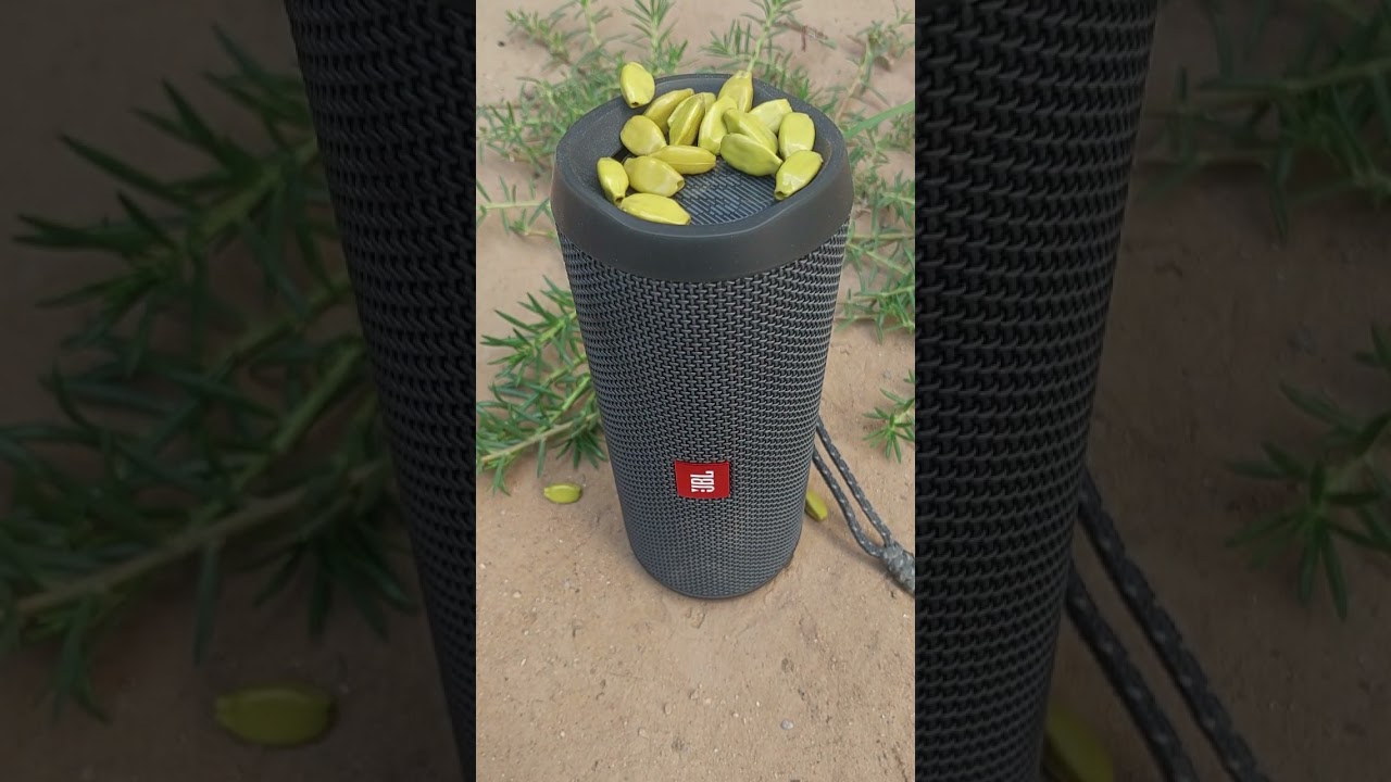 Jbl Bass Test With Sea Pearl  🔊#asmr #jbl #jblbasstest