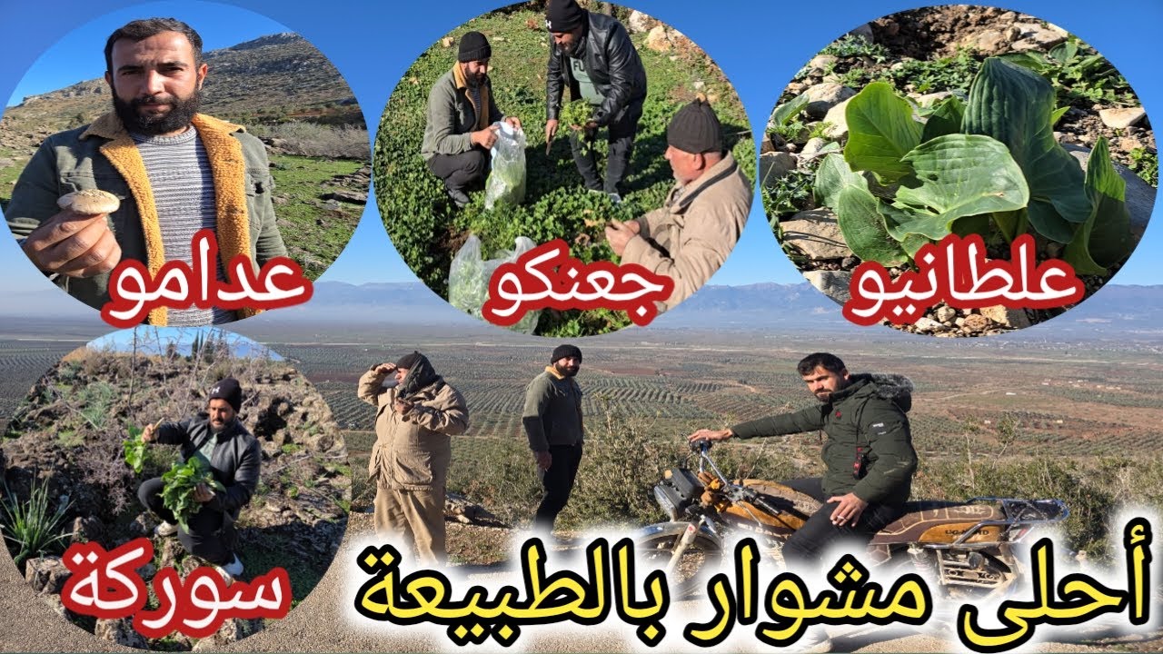 طلعنا أحلى مشوار بمنطقة راجو سوركة عدامو علطانيو جعنكو حوشنا كوردة تولك بونجور فيديو إهداء للمتابعين