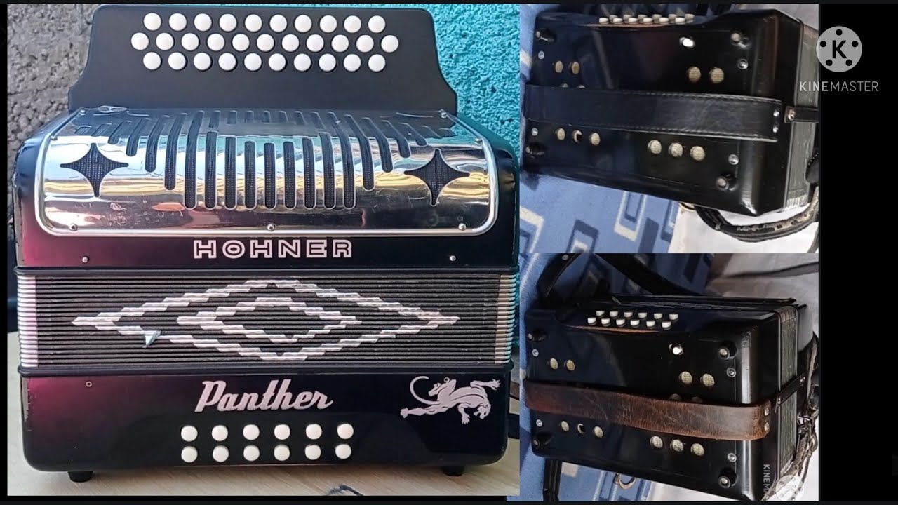 HOHNER Panther, cambio de tirafuelle y afinación para venta