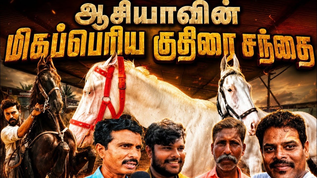 💥World's Biggest Horse Market in india 🦄🐴 | Anthiyur Gurunatha Swamy temple Festival |  Tamilnadu