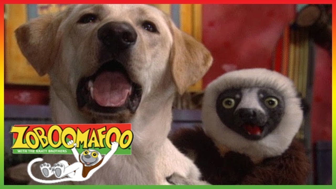 🐶 Zoboomafoo 253 - Can You Feel It? - Animal shows for kids | Full Episode | HD 🐶