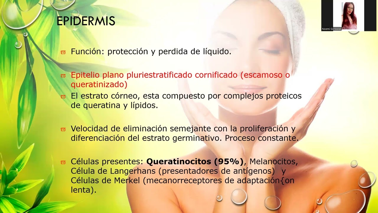 CLASE PARTE 2. INTRO PIEL
