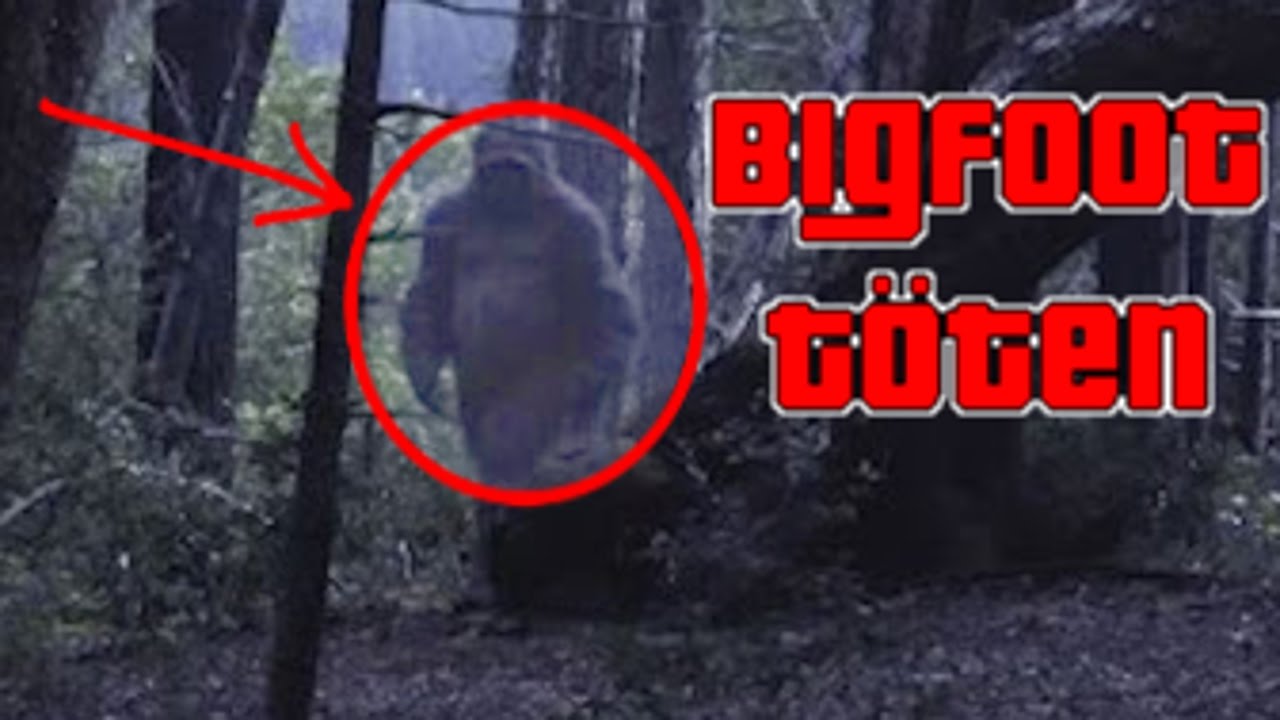 BIGFOOT TÖTEN! FINDING BIGFOOT!