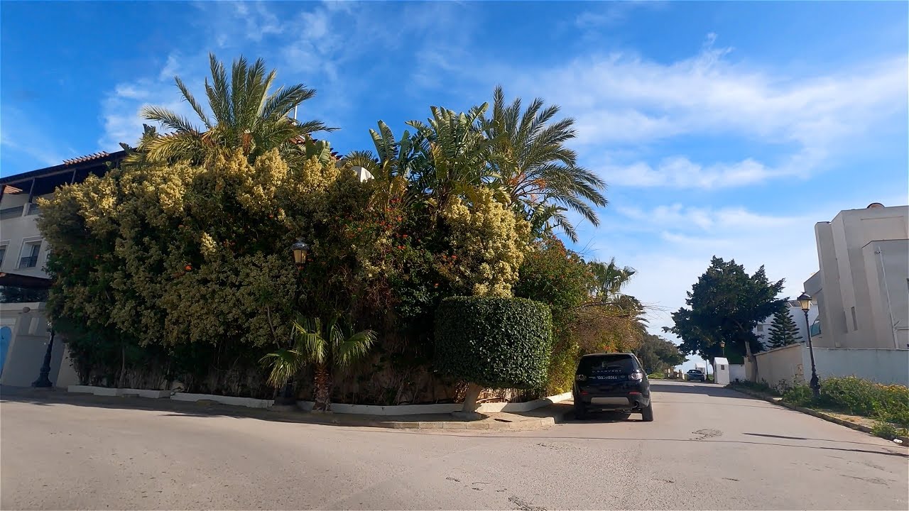 Cité Les Pins, La Marsa, Tunisia 🇹🇳 4k , حي الصنوبر, المرسى
