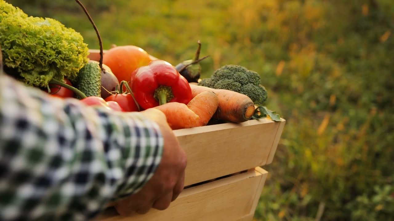 Why Veggies Are the Perfect Snack (100 Calories) | Consumer Reports