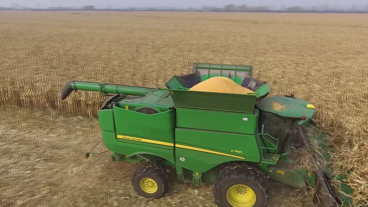 Zbiór kukurydzy John Deere S 790i / Demo 2018 /  Chempest