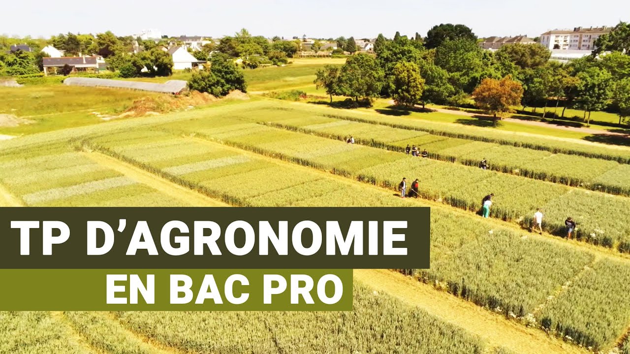 TP Agronomie en Bac Pro