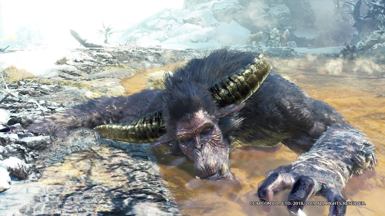 【MHWI】モンスター寝顔・休眠集