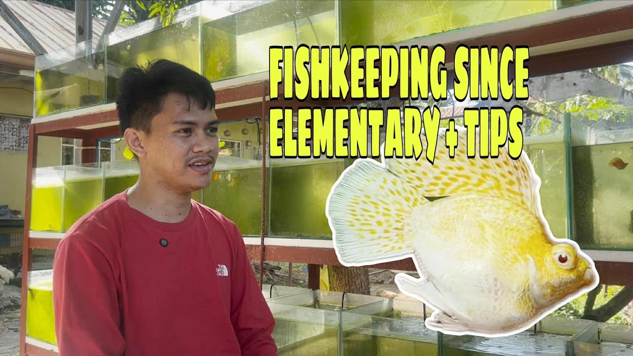 EP279. FISHKEEPING SINCE ELEMENTARY + TIPS