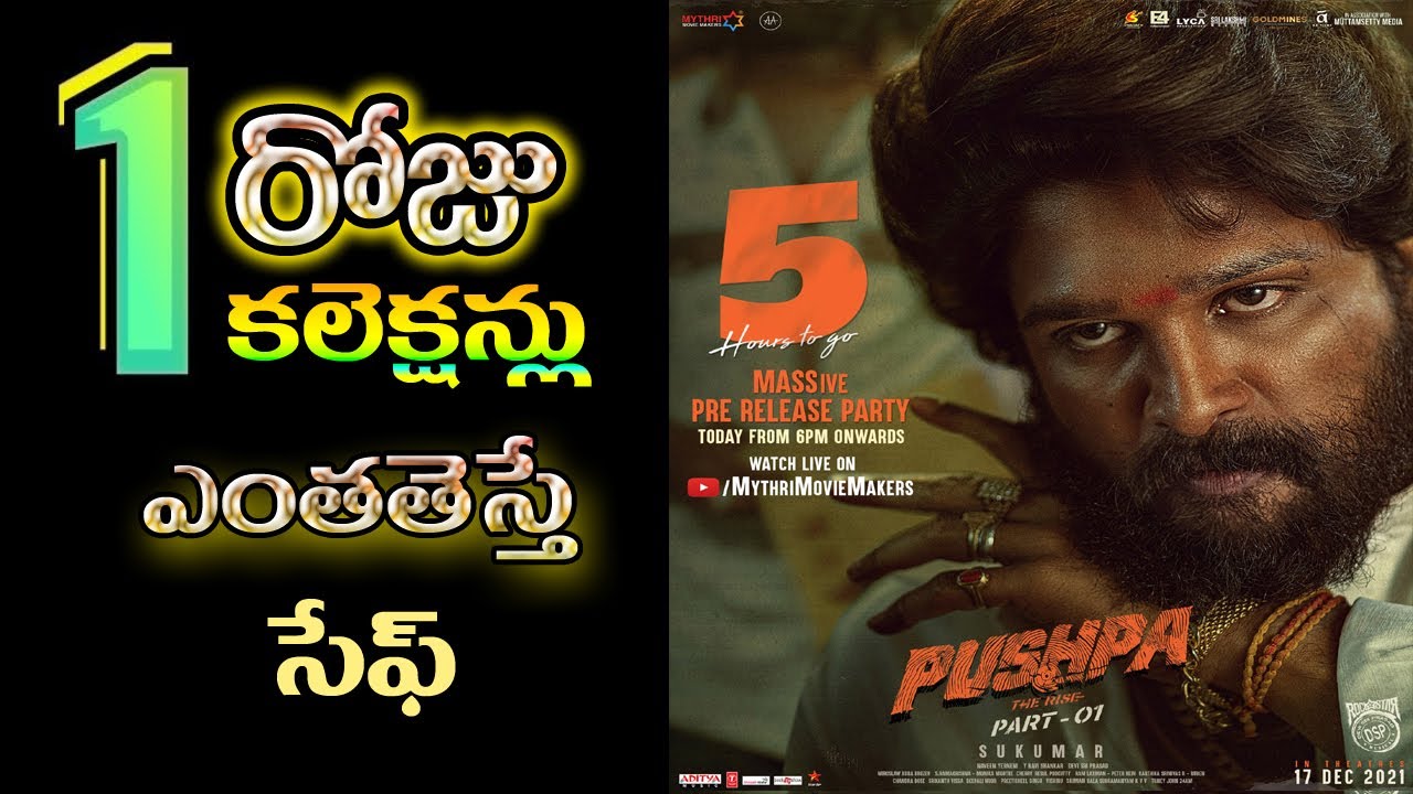 Pushpa first day collections| Allu Arjun Pushpa movie| pushpa movie public talk| Pushpa pre review