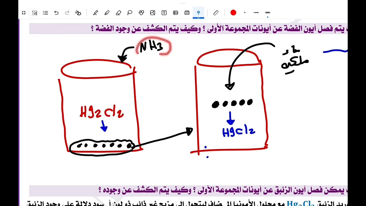 ١٥ مارس ٢٠٢٥