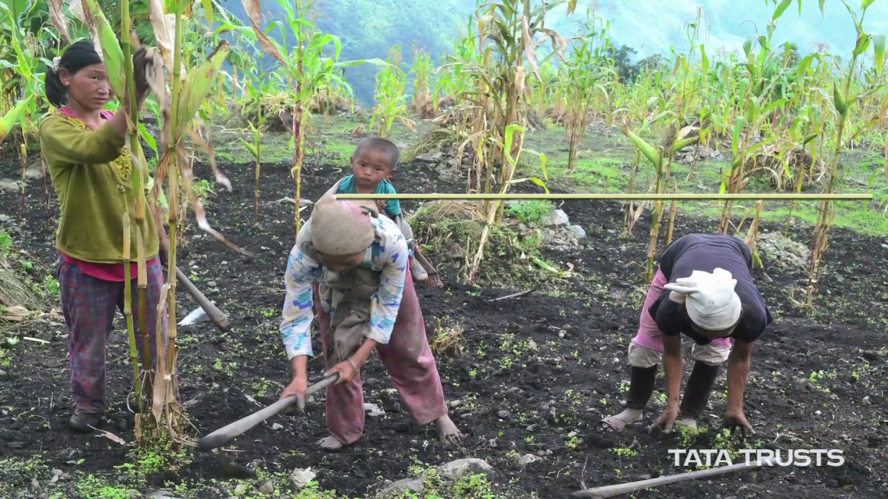 NEIDA - A Tata Trusts' Initiative
