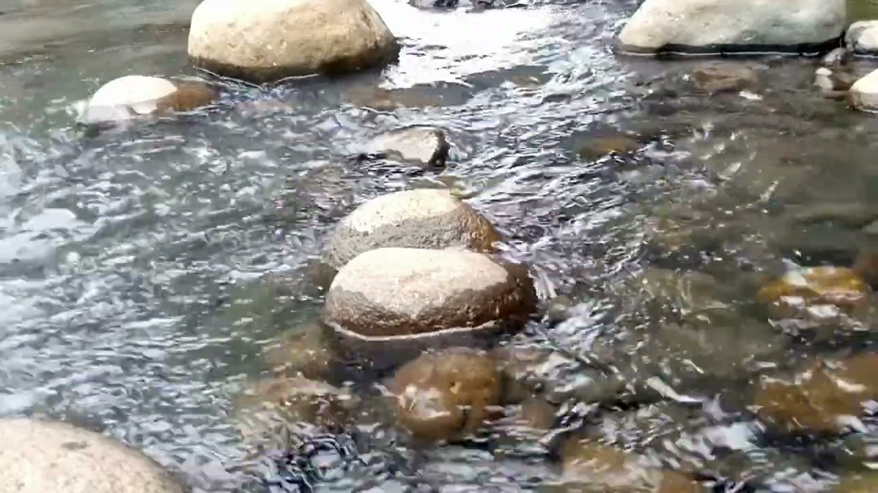 Nature's Lullaby - Riverside Sounds for Relaxation [Sleep, Relaxation, Meditation, Therapy]