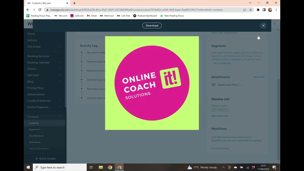 Mastering Wix Contacts: Streamline and Organize Your Interactions